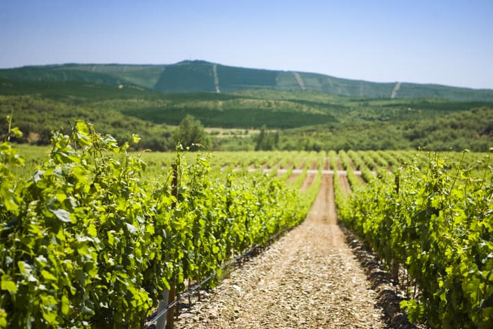 Quinta do Carmo