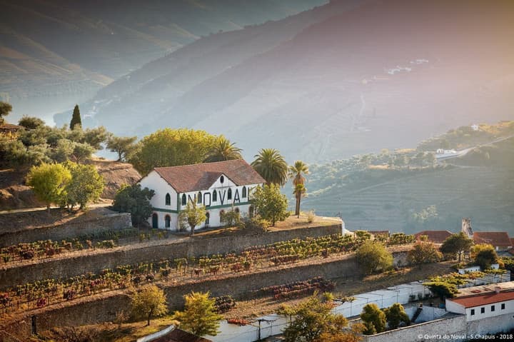 Quinta do Noval